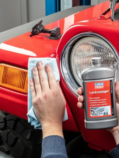 LIMPIADOR DE PINTURA