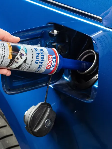 PROTECTOR PARA CATALIZADORES 2